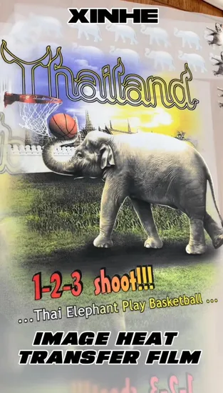 Heat Transfer Pet Film Water